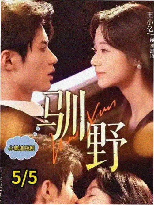 城南慢车 家庭生活剧海报